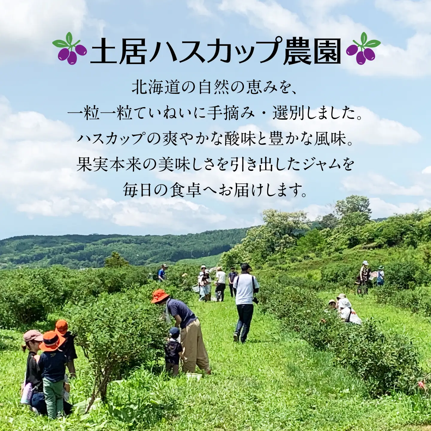 ハスカップジャム ×2個 【土居ハスカップ農園】 ハスカップ ジャム [AXAV001]