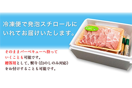えころとん・豚肉6種(計1110g)　豚肉バーベキューセット《60日以内に出荷予定(土日祝除く)》熊本県産 有限会社ファームヨシダ
