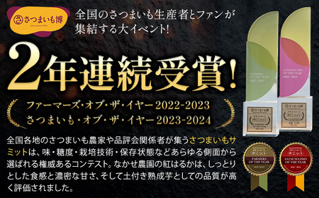 さつまいも 蔵出しベニーモ 約1.5kg さつまいも