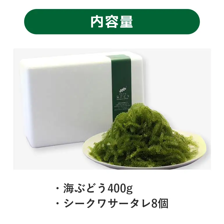 朝採れ! ぷちぷち 海ぶどう 400g 沖縄県産 海ブドウ たれ付き 無着色 沖縄 特産品 沖縄グルメ 海の宝石 海藻 海ぶどう丼 サラダ おつまみ おかず 沖縄料理 常温保存 贈答用 ギフト 産地直送 沖縄県 糸満市