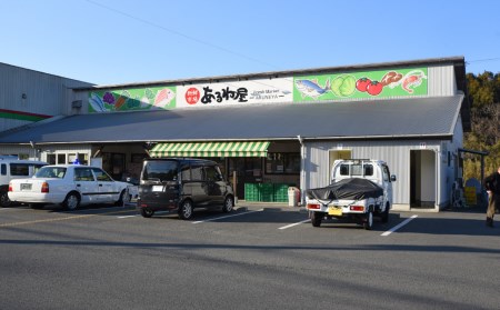 あるね屋 唐揚げ40個（和風味・塩味） 唐揚げ