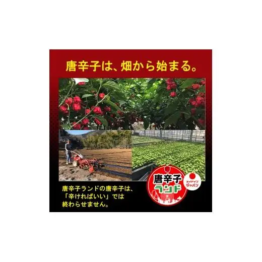 大月限定デザインの激辛一味、激辛七味。2016年ギネス認定世界一辛い