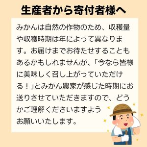 【みかん】 訳あり 温州みかん 約5kg 愛媛みかん みかん職人武田屋 愛媛県 愛南町