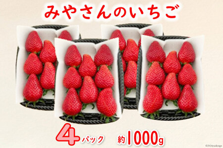 【期間限定発送】みやさん自慢のおすすめチョイス！ 完熟 いちご (250g×4パック) 約1000g