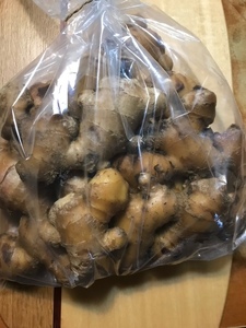先行受付】自然農 ひね生姜1kg（洗いショウガ）【R00249】 | 高知県