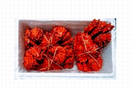 【北海道根室産】花咲ガニ410～500g×3尾 B-57017