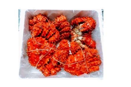 【北海道根室産】花咲ガニ2～4尾(計3.4kg前後) D-57012