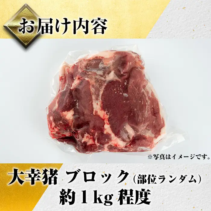 《毎月数量限定》 鹿児島県 出水市産 大幸 猪肉 ブロック 部位ランダム 約1kg 猪肉 【大幸】 i335