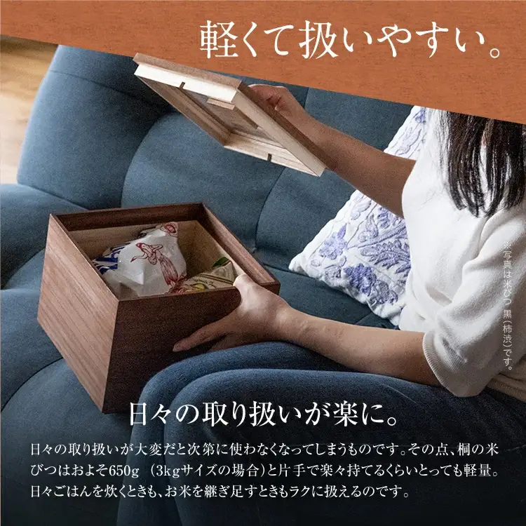【ふるなびWEEK対象】米びつ ５kg タイプ 米びつ