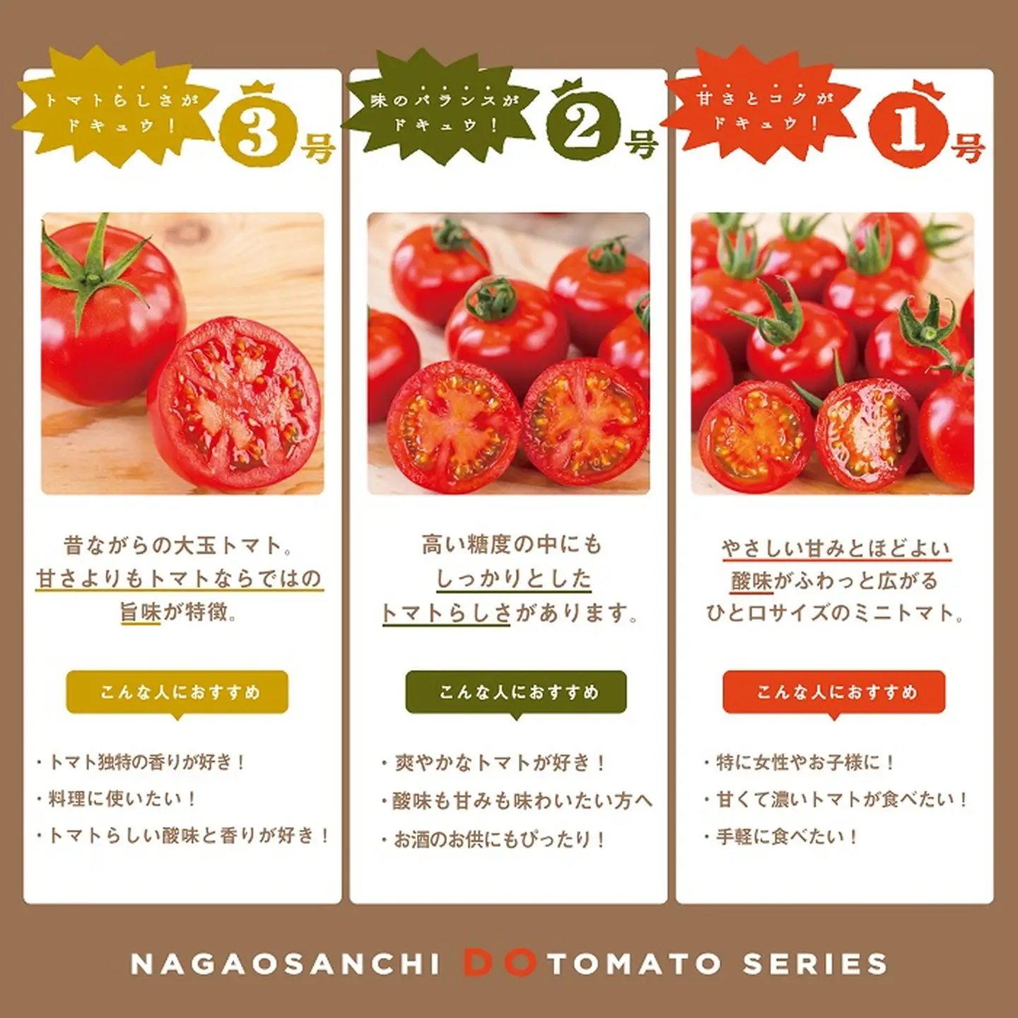 【人気】甘さとコクがド級！ドトマト1号 とまと 野菜：B140-010