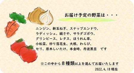 旬のお野菜詰め合わせセット
