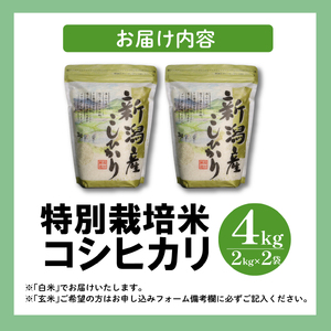 4kg 特別栽培米コシヒカリ 新潟県産 新発田産 コシヒカリ 特別栽培米 しばもん 2kg 2袋 4kg D31_03