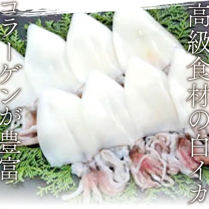 「釣りものケンサキイカに厳選」白いか一夜干（3枚入）【いか一夜干し 白いか 干物 60～80g 3枚 一夜干し 一夜干 イカ いか ケンサキイカ 贅沢 おつまみ お酒の肴 贈答 ギフト 冷凍 父の日 母の日】