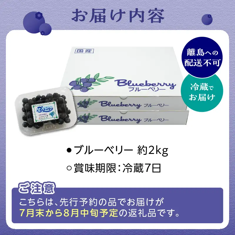 【2027年発送】 先行予約 木津川市産ブルーベリー約2kg 生ブルーベリー 新鮮 国産 果物 小分け 080-03