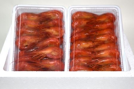 【北海道根室産】しまえび400g(25～37尾)×2P(計800g) B-24003