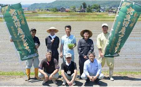 7MS45B-1北魚沼産コシヒカリ無洗米真空パック 300g×15（長岡川口地域）
