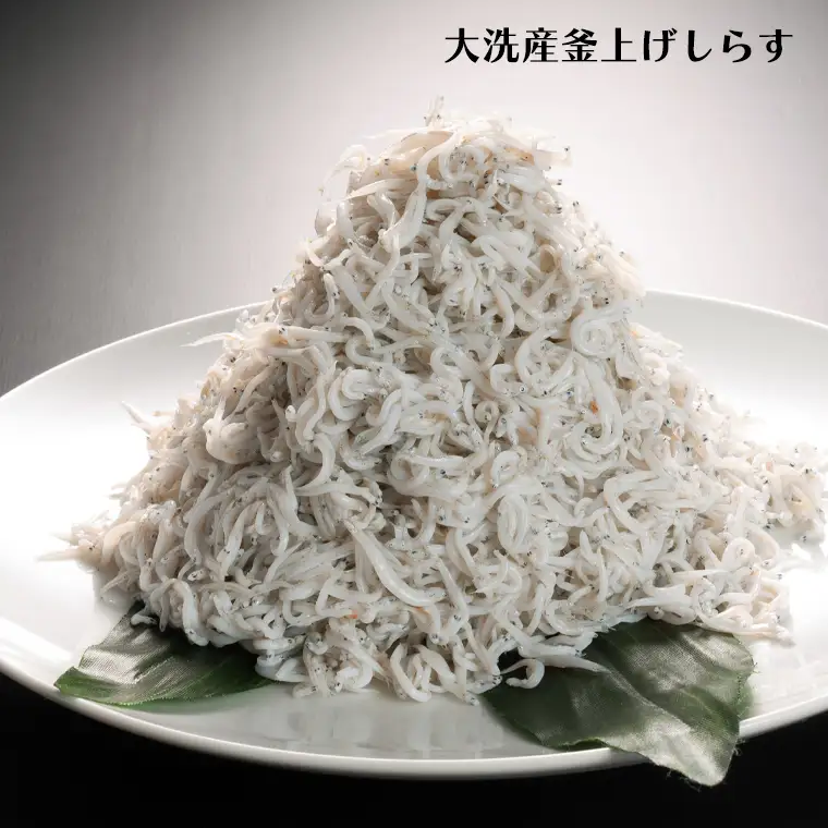 しらす 1kg ちりめん山椒 100g しらす佃煮 100g セット _AG002