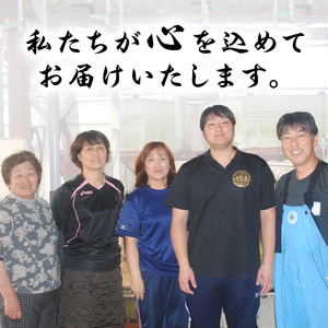 東串良町のうなぎ蒲焼(無頭)(3尾・計約630g・タレ、山椒付)うなぎ 高級 ウナギ 鰻 国産 蒲焼 蒲焼き たれ 鹿児島 ふるさと 人気【アクアおおすみ】【0204356a】