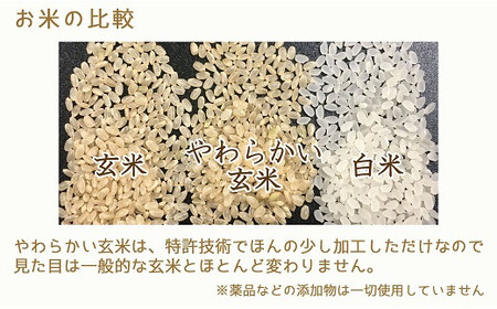 やわらかい玄米 900g ※12回定期便　安心安全なヤマトライス 小分け 米 こめ コメ ごはん 栄養豊富 簡単 便利 美容 健康 新食感 もちもち 安心安全なヤマトライス　H074-650