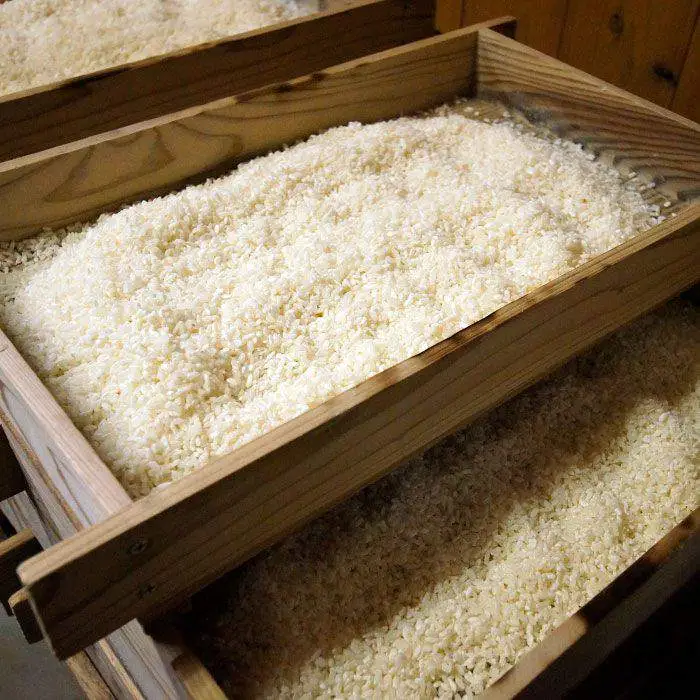 【全3回定期便】麹味噌（2キロ）と波佐見町産米（9合）セット【原味噌本店】 [CA13] 