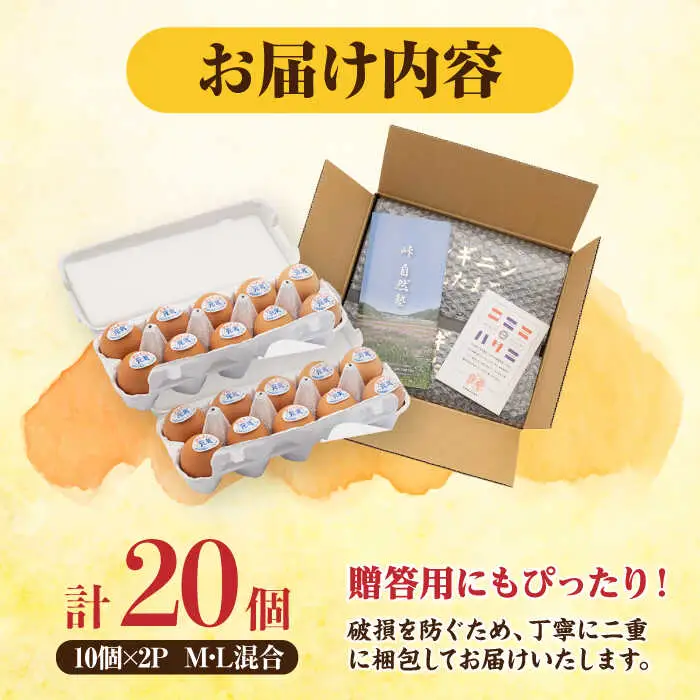 たまご アルギニン元気 たまご 20個[EA01] 
