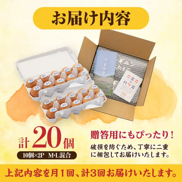 【全3回定期便】アルギニン 元気たまご 20個【浅田峠自然塾】[EA02] 平飼い卵 放し飼い卵 たまご