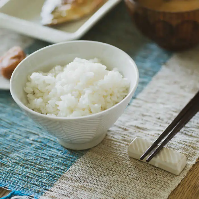 【波佐見焼】ヘリンボーン 茶碗 セット ブラウン 食器 皿 【アイユー】 [UA13]  波佐見焼