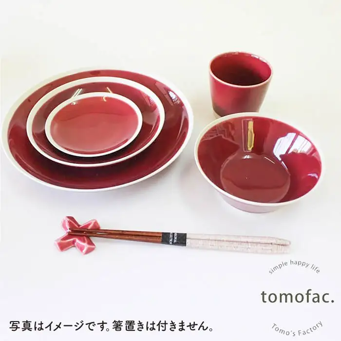 【波佐見焼】シャイニーカラー ワイン色（トルマリン）10点セット 皿 ボウル カップ 【陶芸ゆたか】 [VA56]  波佐見焼