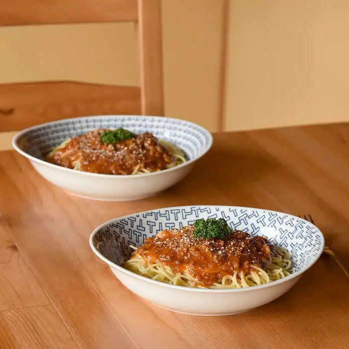 【波佐見焼】natural69カレーパスタ2枚セット ウッズ／ティーズ カレー皿 パスタ皿 北欧 食器 [QA61] 波佐見焼