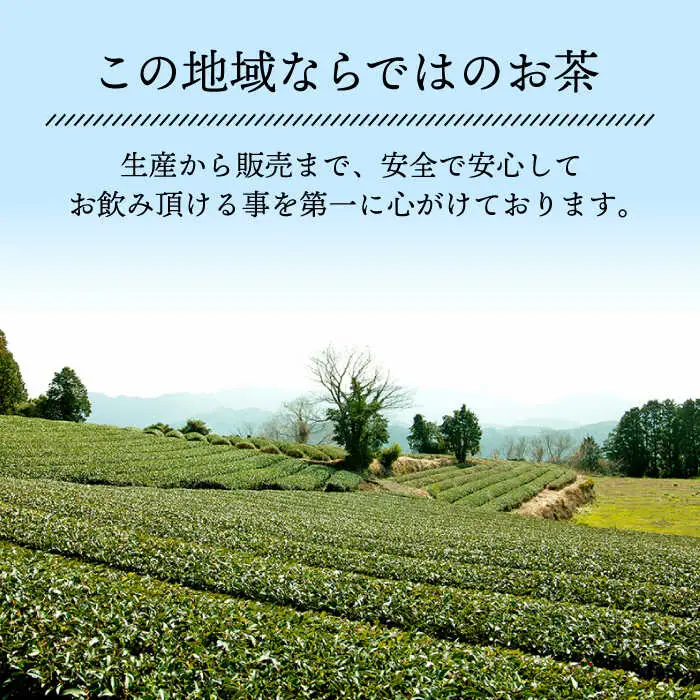 波佐見玉緑茶詰め合わせセット【マックリカフェ】 [LC13] 