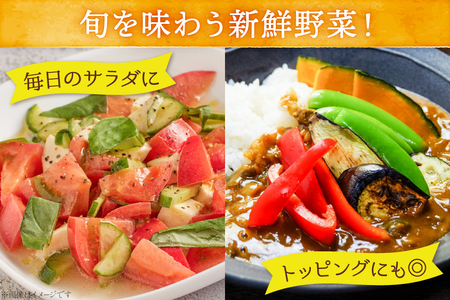 OGAWA'N 野菜 セット 定期便 6回