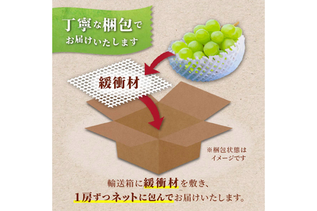 【期間限定発送】 シャインマスカット 秀 2～4房 約 1.5kg 以上