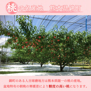 桃 白桃 先行予約 錦の桃 2kg 約5玉～9玉 もも モモ フルーツ 果物 デザート 2026年発送 鎌木果樹園 配送不可:離島 