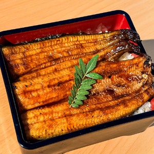 うなぎの蒲焼き（小）2本 タレ付き 山椒付き