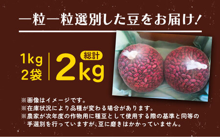 北海道 あしょろの大正金時 1kg×2袋《足寄町》【党崎農場】豆 [BEAA018]
