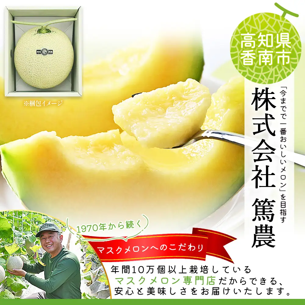 高知県香南市産 マスクメロン 2玉 【 国産メロン マスクメロン メロン メロン ハウスメロン 甘いメロン 】 tn-0012