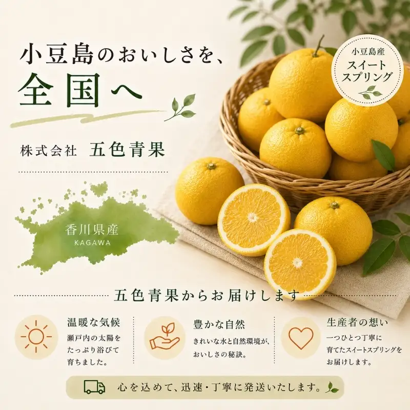 スイートスプリング 柑橘 みかん 蜜柑 約10kg 3L～Mサイズ 小豆島 瀬戸内 香川県産 国産 3L 2L L Mサイズ 果物 くだもの 果物類 柑橘類 ミカン フルーツ 生鮮 食品 甘い 爽やか 香り 小豆島特産 ギフト 贈り物 贈答 五色青果 香川県 土庄町