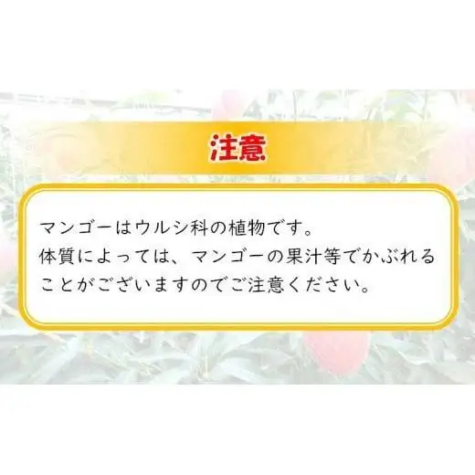 先行予約【マンゴー専門 杉田農園】西都市産完熟マンゴー2玉　計900g～1kg 化粧箱入 生産者直送 2026年発送＜38-2a＞
