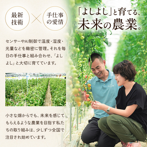トマト 中玉 よしよし畑 農家直送 トマト【800g〜1kg】