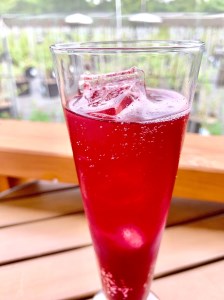 A-41　果樹園の飲むブルーベリー酢 ブルーベリーファクトリー