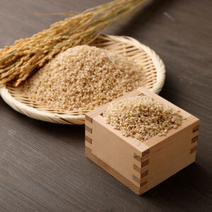 令和8年産 新米 コシヒカリ 玄米10kg（1袋） お米 健康食品 10000g 10キロ おこめ 米 ごはん こしひかり ブランド米 常温 国産 高知県 土佐清水市【R01736】