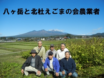【隔月定期便】えごま油夫婦半年セット 定期便 3回 えごま油 低温生搾り 生えごま油 夫婦半年分 セット 無農薬 110g×4本 2ヶ月毎 3回届く オメガ3脂肪酸 α-リノレン酸 八ヶ岳 南麓栽培 農薬不使用 健康 食品 油 [h112]