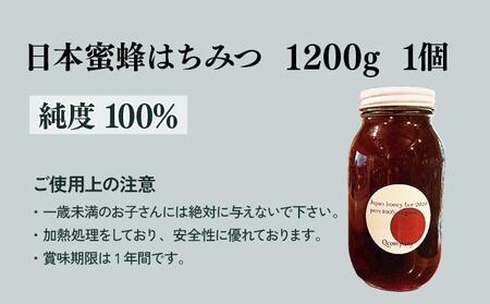 【数量限定】串間産純度100％ 日本蜜蜂はちみつ 1200g_K017-019