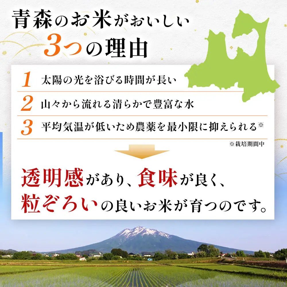 【白米】令和7年度産 青森県産 まっしぐら 10kg 精米  お米 青森県産 ブランド米