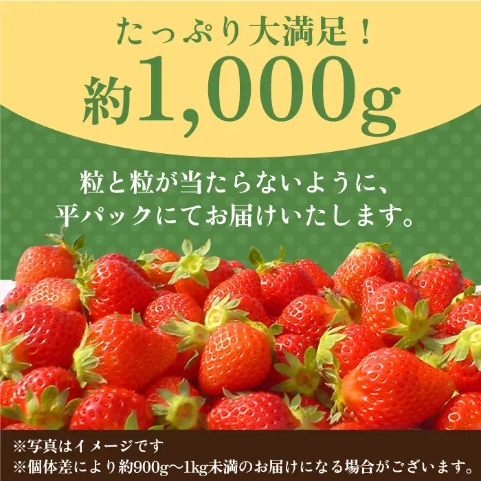 【先行予約・27年1月以降順次発送】さがほのか平パック4P（約1kg） |いちご 佐賀県産 佐賀県 イチゴ パック| 吉野ヶ里町/リエンサーク [FCC002]