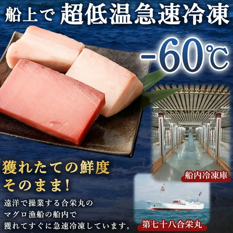 天然マグロ 2種 約650g 【まぐろ】ge001