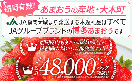 【アフター保証】先行予約 いちご あまおう 1080g（約270g×４パック）【2月上旬から順次発送】 AG010