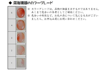 深海 珊瑚 ５連ペンダント（201113-7） ペンダント