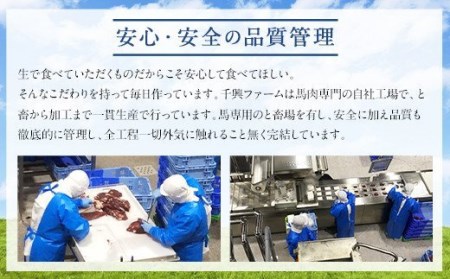 ＜ R8年熊本地震復興支援 ＞タテガミ 入り 馬肉 ハンバーグ (デミソース含む) 200g×8個