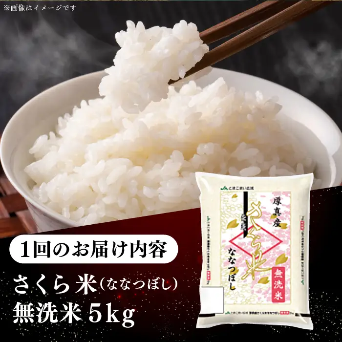 令和7年産 令和8年産 【全12回定期便】【無洗米】さくら米（ななつぼし）5kg 1年 12ヵ月 お米 無洗米 白米 ななつぼし 北海道 [AXAB010]